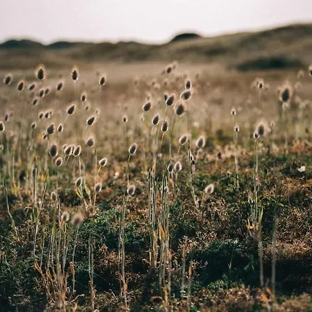 La Butte : Bol D'air Iode Assure *
