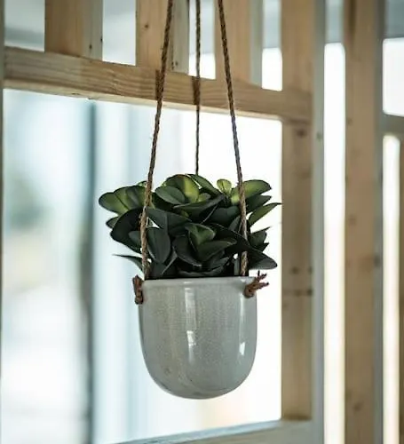 La Butte : Bol D'air Iode Assure بيت للعطل *