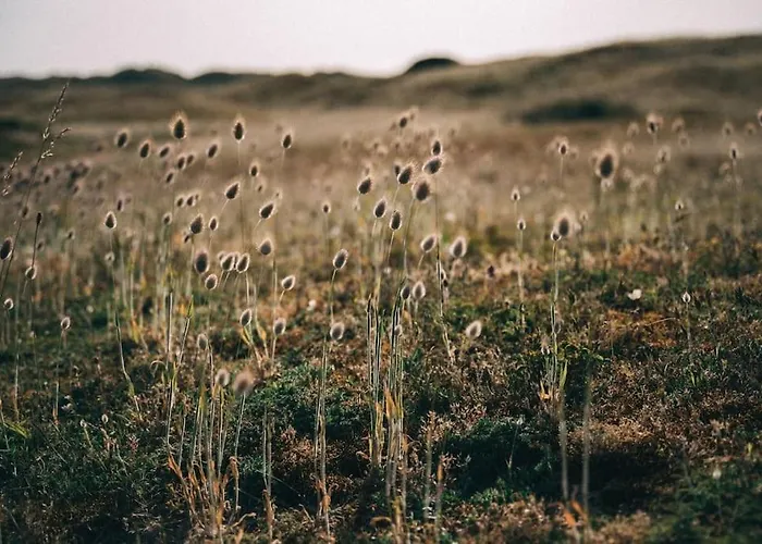 La Butte : Bol D'air Iode Assure *